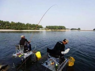钓鱼专用天气软件，让每一次出竿都恰到好处