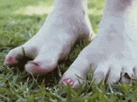 脚底长了像水泡一样的东西很痒（脚底长了像水泡一样的东西很痒是脚气吗）
