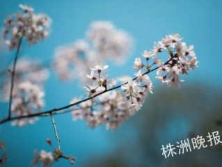 上周天气回顾，晴雨交替，春意渐浓