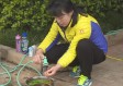 元谋天气预报（元谋天气预报一周天气）