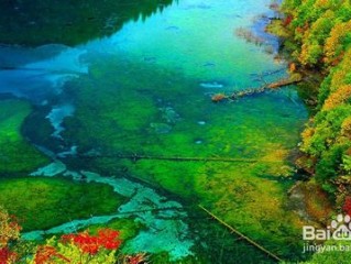 九寨沟天气预报15天查询，如何准确掌握出行时机，玩转人间仙境