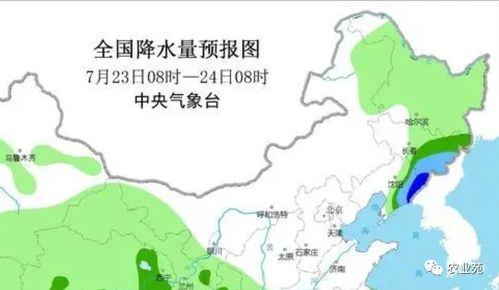 鹤岗天气预报，一座东北小城的冷暖叙事