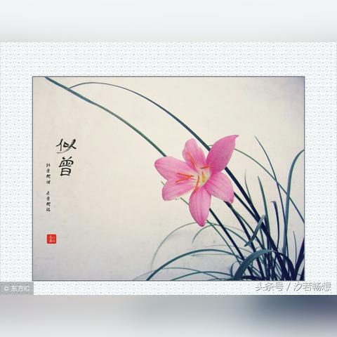N1国际绿色版V55.12.266.106ios版本-推荐