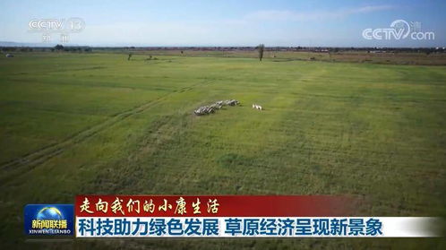 乌兰浩特天气预报，草原之城的四季呼吸，你准备好了吗？