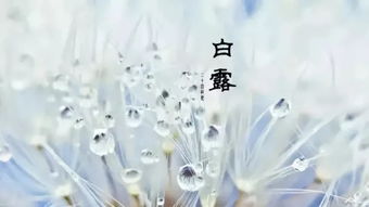 今日北京，晴空之下，冷暖自知