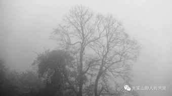 巴中的雨,巴中的雾 巴中的雨,巴中的雾