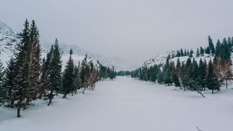 实时降雪图,科技赋能下的冰雪世界精准监测 实时降雪图,科技赋能下的冰雪世界精准监测