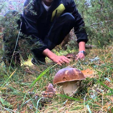 湖南未来三天天气预报，晴雨交替，气温小幅波动